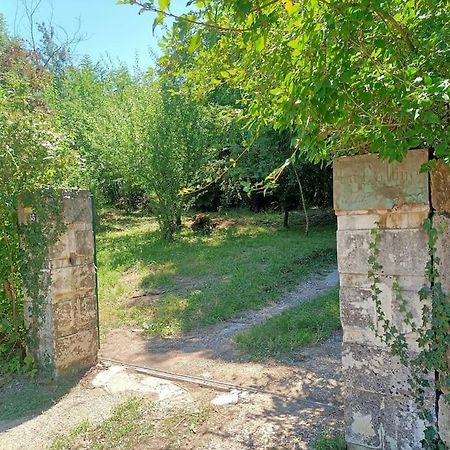 Villa La Colline Aux Oiseaux, La Tranquillite Des Bois à Molieres-sur-Ceze Extérieur photo