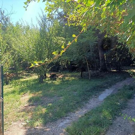 Villa La Colline Aux Oiseaux, La Tranquillite Des Bois à Molieres-sur-Ceze Extérieur photo