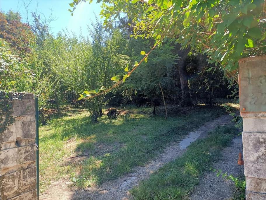 Villa La Colline Aux Oiseaux, La Tranquillite Des Bois à Molieres-sur-Ceze Extérieur photo