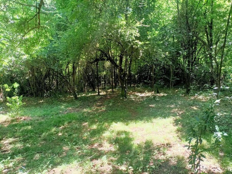 Villa La Colline Aux Oiseaux, La Tranquillite Des Bois à Molieres-sur-Ceze Extérieur photo